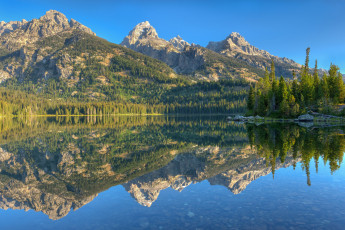 Картинка природа реки озера река лес