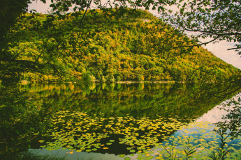 Картинка природа реки озера река лес