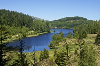 Картинка природа реки озера водоем деревья ели холмы