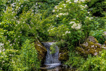Картинка природа водопады река лес водопад