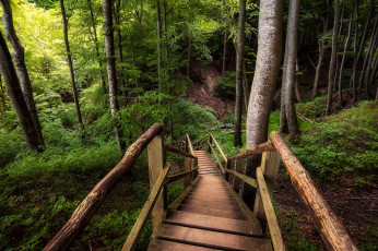 Картинка природа дороги тракт