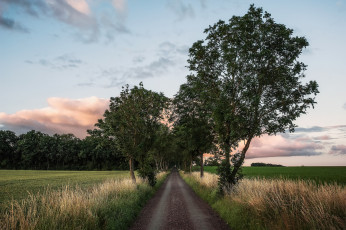 Картинка природа дороги тракт