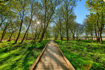 Картинка природа дороги тракт