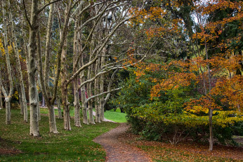 Картинка природа дороги тракт