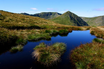 Картинка природа реки озера лес река