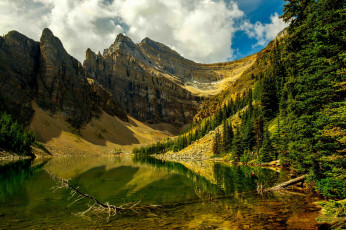 Картинка природа реки озера река лес