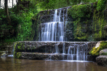 Картинка природа водопады водопад река лес