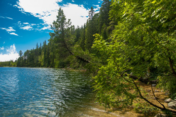 Картинка природа реки озера лес река