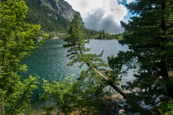 Картинка природа реки озера лес река