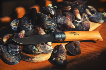 Картинка еда рыба +морепродукты +суши +роллы деликатесы