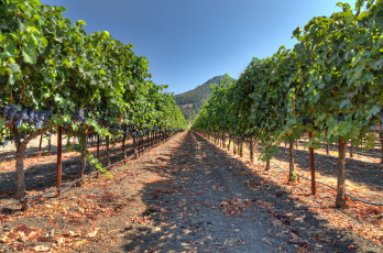 Картинка природа дороги тракт