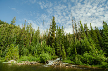 Картинка природа реки озера лес река