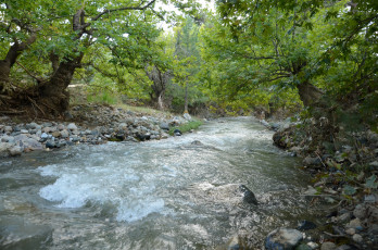 Картинка природа реки озера река лес