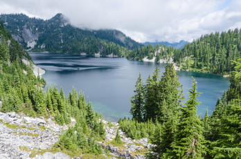 Картинка природа реки озера река лес