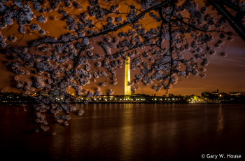 Картинка города -+пейзажи весна ночь
