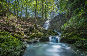 Картинка природа водопады водопад река лес