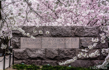 Картинка разное надписи +логотипы +знаки парк