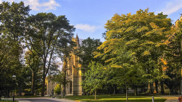 Картинка города -+пейзажи храм парк