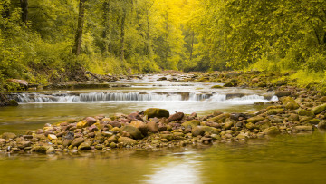 Картинка природа реки озера лес река