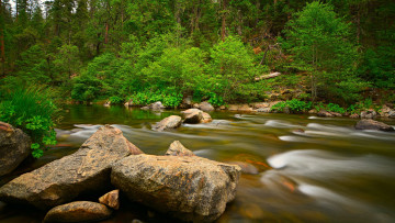 Картинка природа реки озера река лес