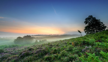 Картинка природа восходы закаты рассвет