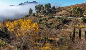 Картинка природа горы простор