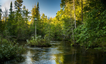 Картинка природа реки озера река лес