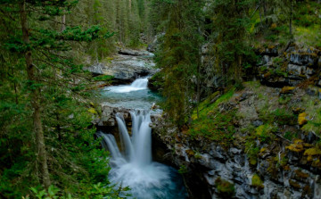 Картинка природа водопады водопад река лес