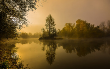 Картинка природа реки озера река лес