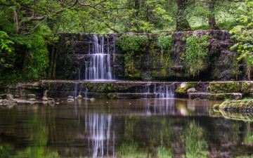 Картинка природа водопады река водопад лес