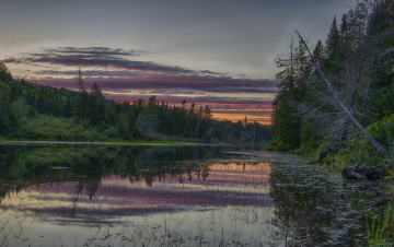 Картинка природа реки озера река лес