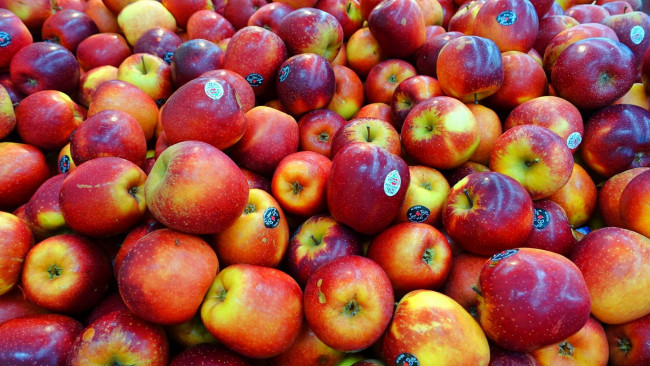 Обои картинки фото еда, Яблоки, плоды