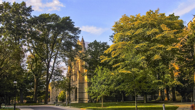 Обои картинки фото города, - пейзажи, храм, парк