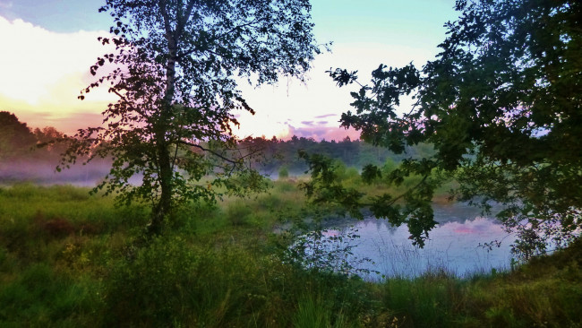 Обои картинки фото природа, реки, озера, река, лес