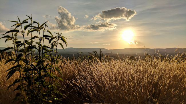 Обои картинки фото природа, восходы, закаты, рассвет