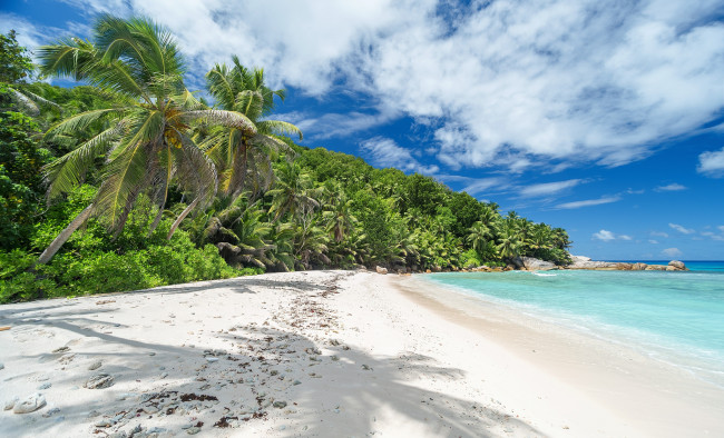 Обои картинки фото природа, тропики, курорт
