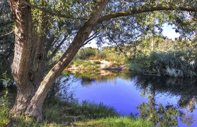 Обои картинки фото природа, реки, озера, река, лес