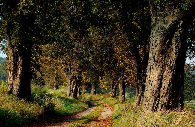 Обои картинки фото природа, дороги, тракт