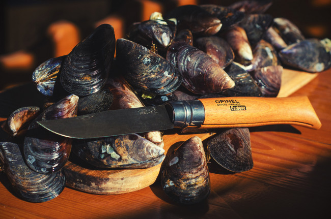 Обои картинки фото еда, рыба,  морепродукты,  суши,  роллы, деликатесы