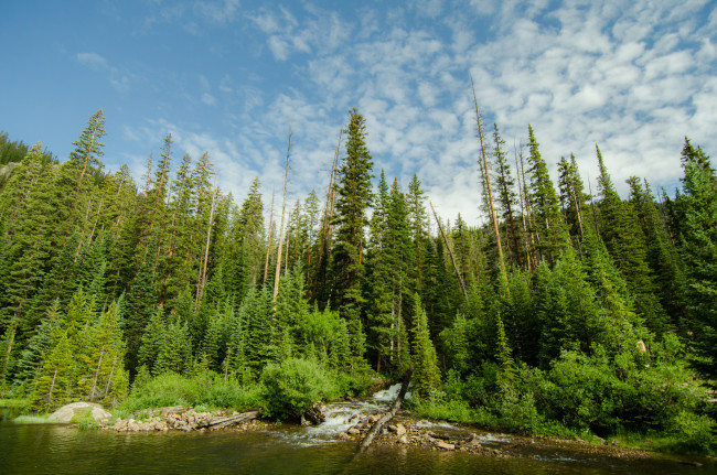 Обои картинки фото природа, реки, озера, лес, река