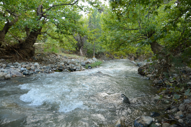 Обои картинки фото природа, реки, озера, река, лес