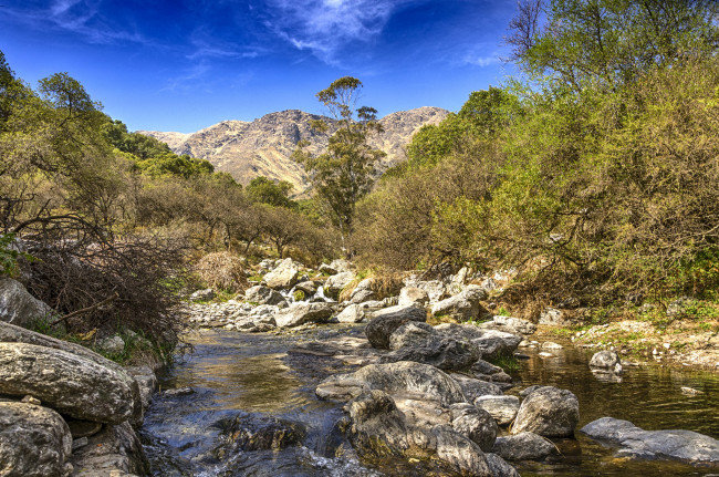 Обои картинки фото природа, реки, озера, река, лес