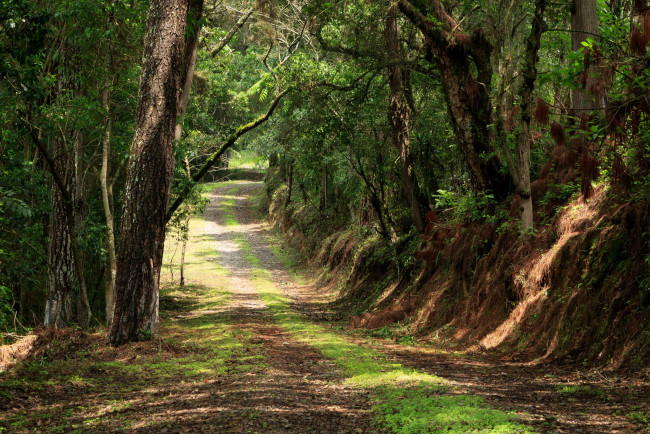 Обои картинки фото природа, дороги, тракт