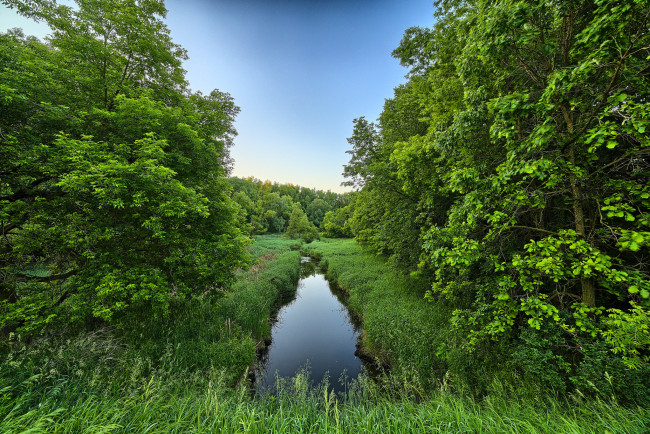 Обои картинки фото природа, реки, озера, горы, река, лес