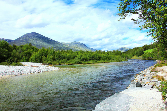 Обои картинки фото природа, реки, озера, лес, река