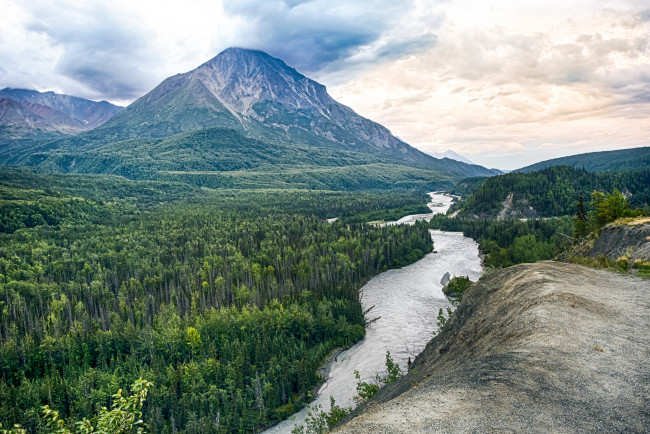 Обои картинки фото природа, реки, озера, лес, река