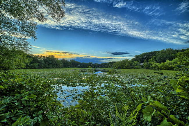 Обои картинки фото природа, реки, озера, река, лес