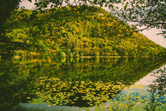 Обои картинки фото природа, реки, озера, река, лес