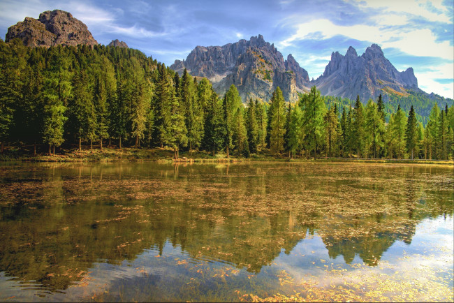 Обои картинки фото природа, реки, озера, река, лес