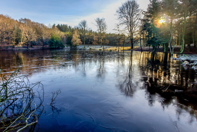 Обои картинки фото природа, реки, озера, река, лес